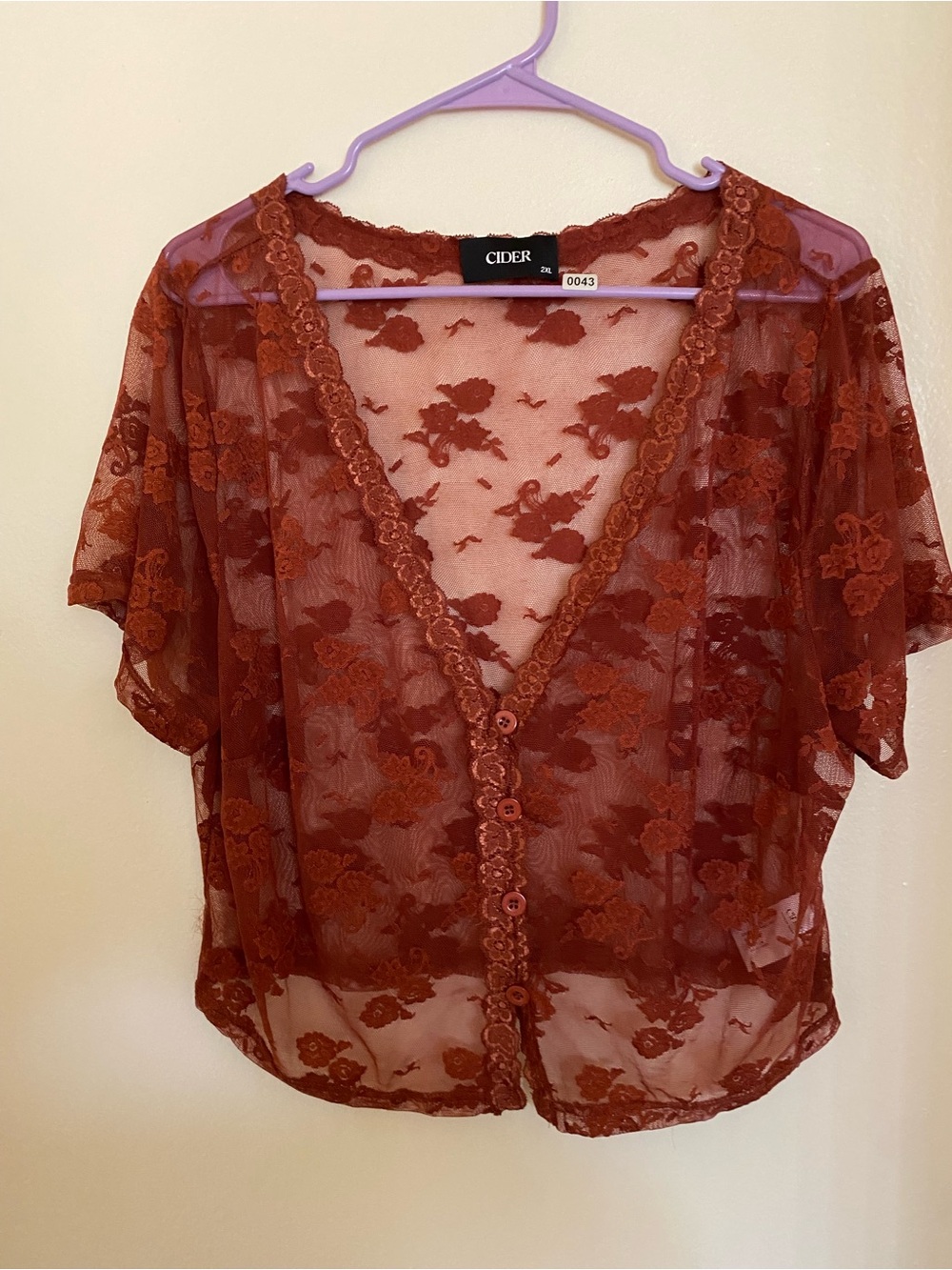 Cider Rust Lace Sheer Button-Front Top